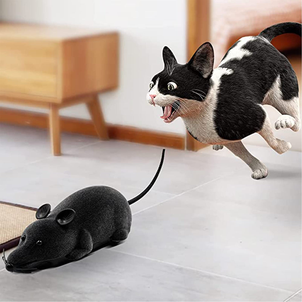 Aerbee remote-control mouse toy demonstrates distance control during play.