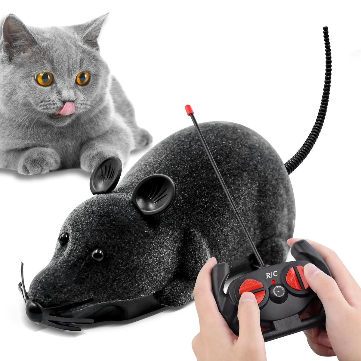 Aerbee remote-control rat toy front view designed for engaging cat play