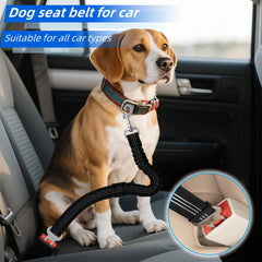 Aerkersun 360-degree snap buckle demonstrates anti-entanglement during canine movement.