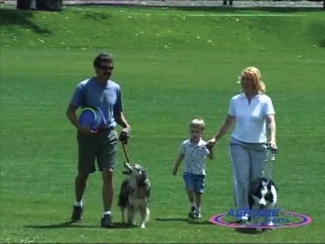 Aerobie Dogobie Disc soft-mouth friendly for gentle outdoor fun.