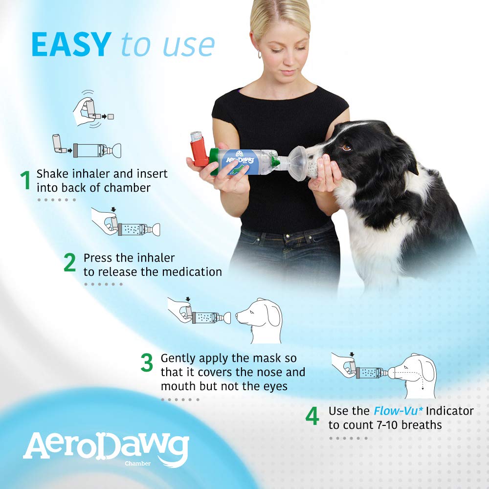 AeroDawg easy-to-use design supports at-home treatment sessions.