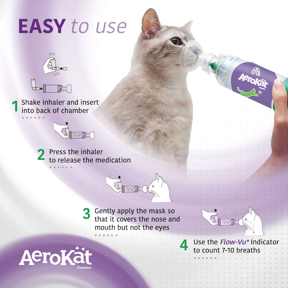 Aerokat original cat inhalation setup at home demonstrates practical use.
