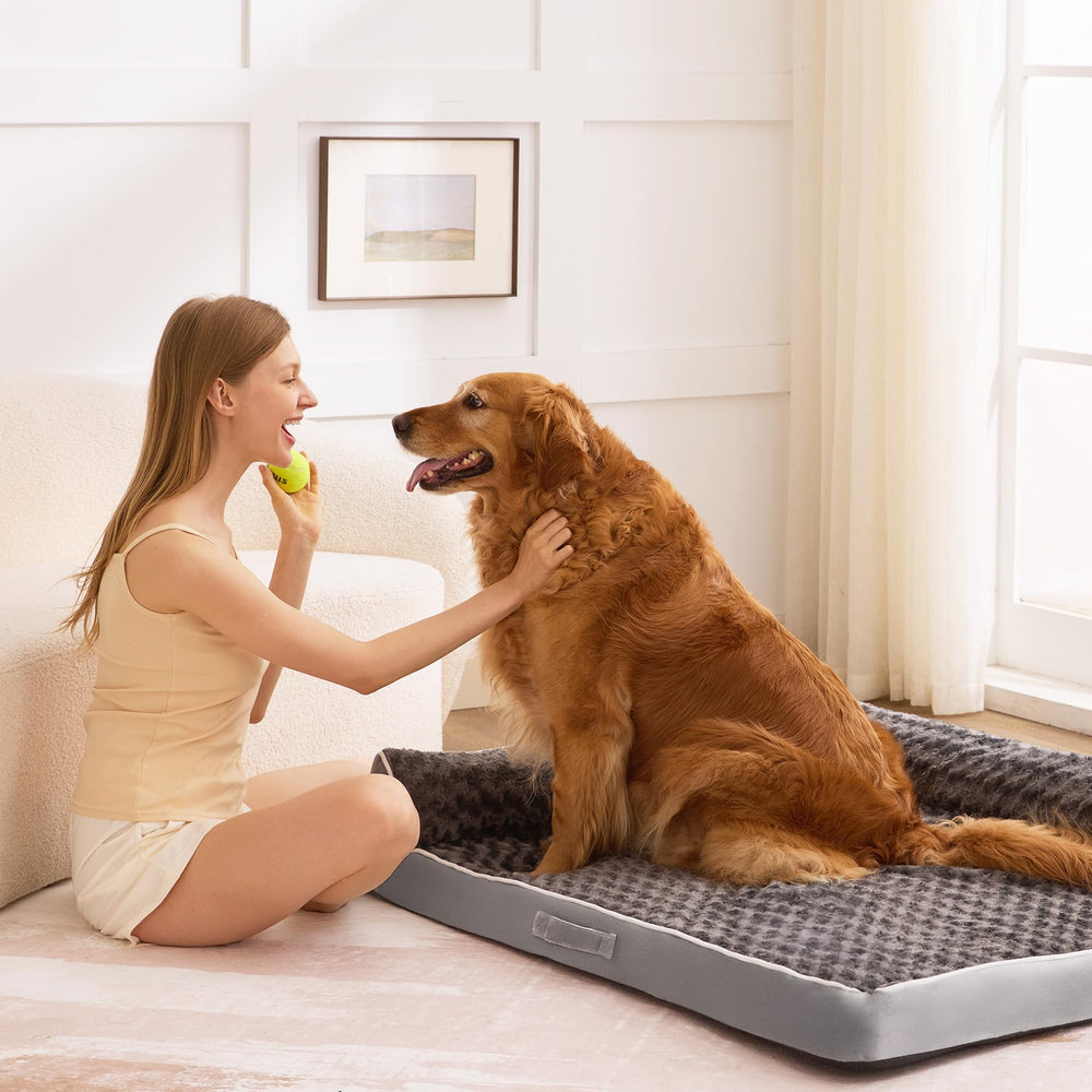 Aeroluxe bed placed in crates, corners, or beside couches for versatile placement