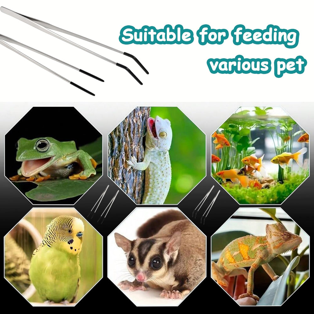 aesxniy reptile tongs safe hands during snake or lizard feeding.