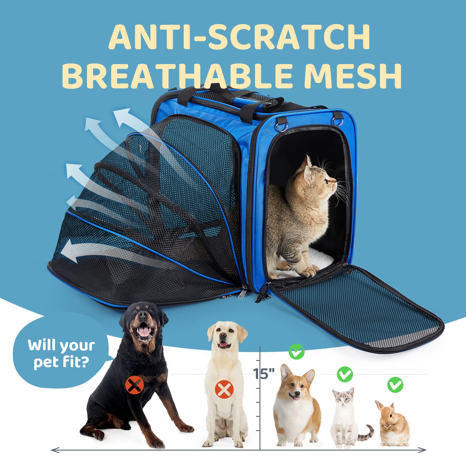 A.FATI cat carrier litter-box-leak-proof-top keeps travel clean and odor controlled.