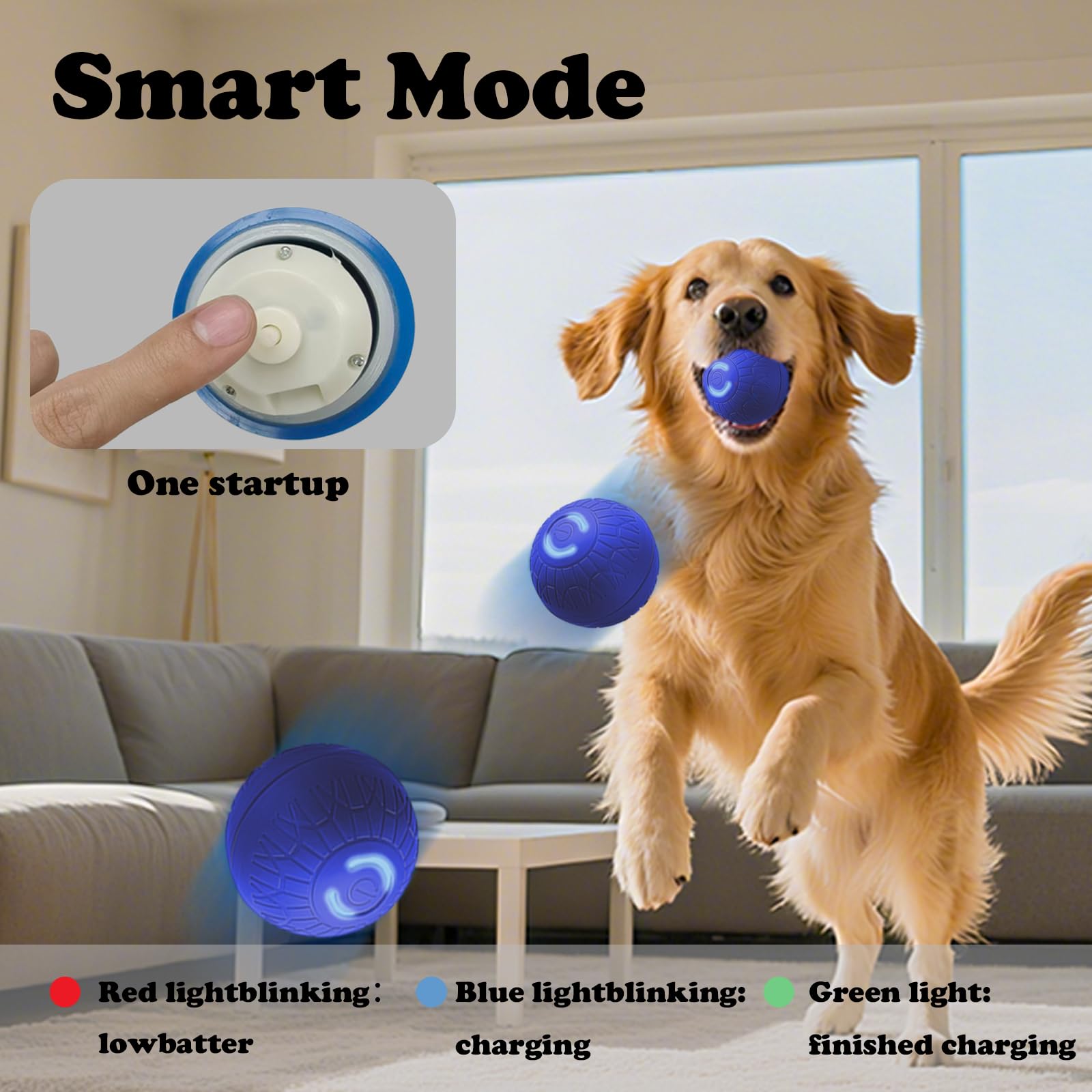 Affiuya Duraspin ball automatic movement demonstrates engaging self-driven play for energized dogs.