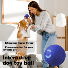 Affiuya Duraspin ball made with safe materials offers teething-friendly durability for chewers.