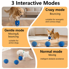 Affiuya Interactive Dog Ball jumping-action supports dynamic exercise for indoor and outdoor use.
