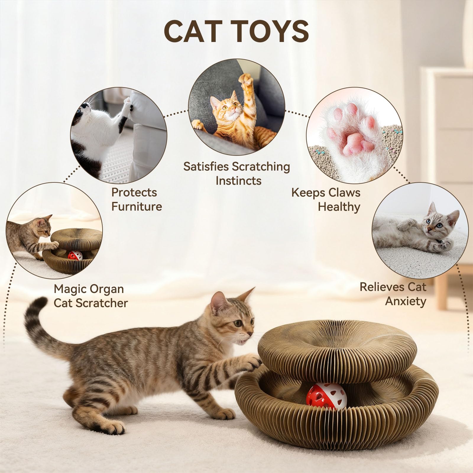 Affiuya Kitten playtime indoors and outdoors with flexible exercise options.