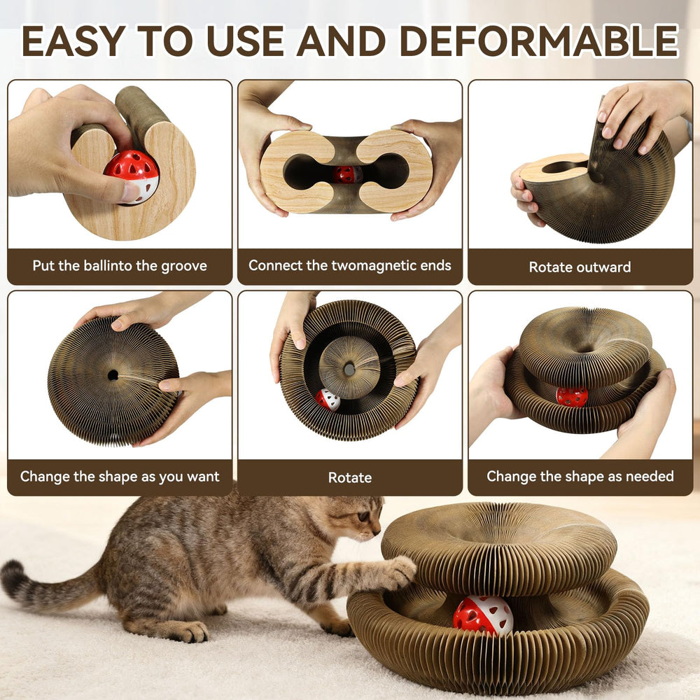 Affiuya Kitty toy bell ball on track encourages active chasing play.