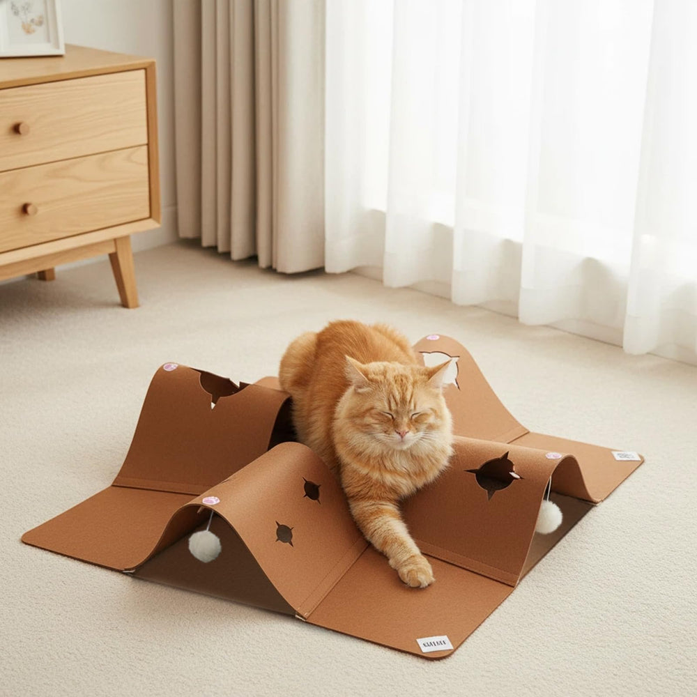 AFLIFLI pet enrichment for small pets during playtime.