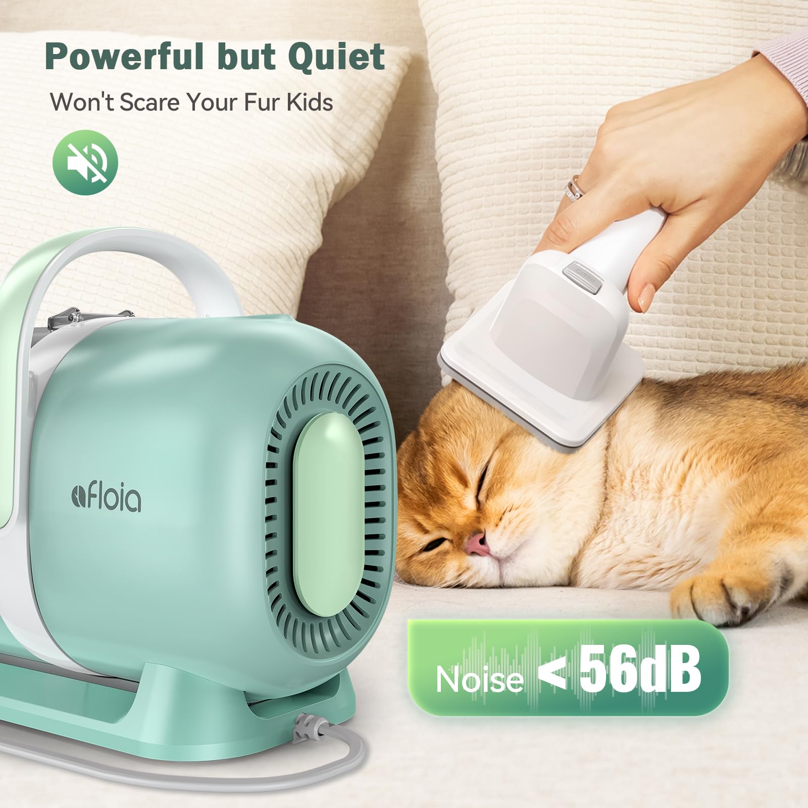 Afloia dog grooming kit 1.5L dust cup reduces frequent emptying during sessions.