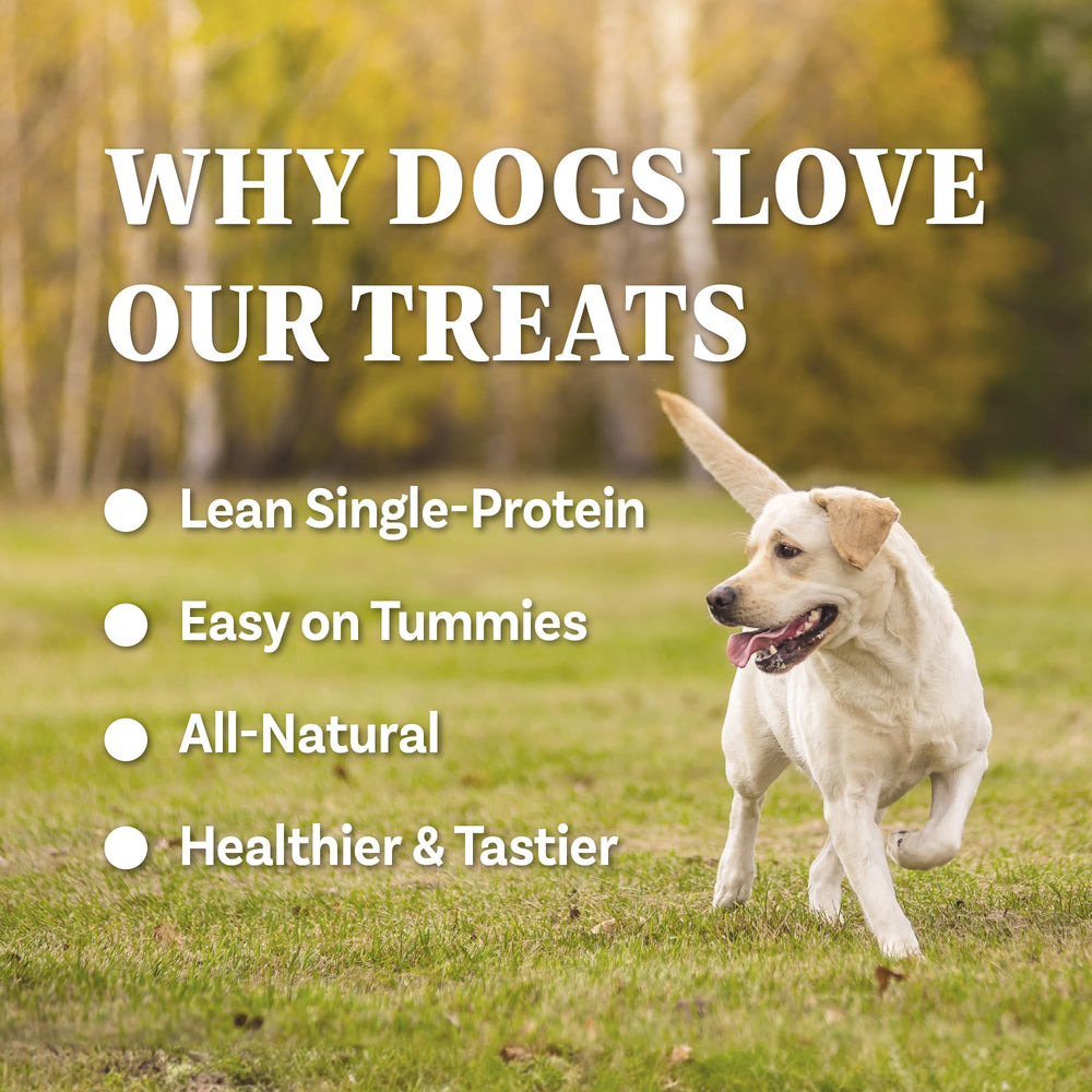 AFreschi Buffalo Dog Treats ingredient panel shows novel protein option for allergy-prone dogs.