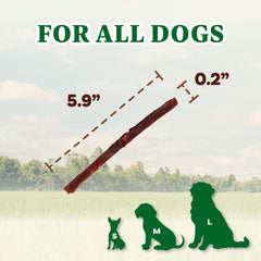 AFreschi Buffalo Dog Treats jerky strips close-up highlights lean, high-protein snack.