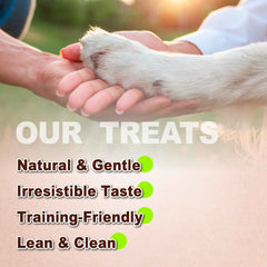 Afreschi puppy-training snack served in hand demonstrates easy-to-use rewards.