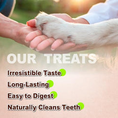 AFreschi Turkey Tendons rawhide-free display communicates safe, grain-free chewing option.