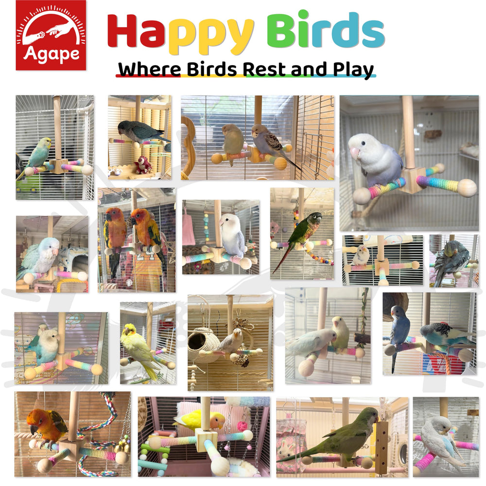 Agape bird toy flexible placement demonstrating standing and exploration options