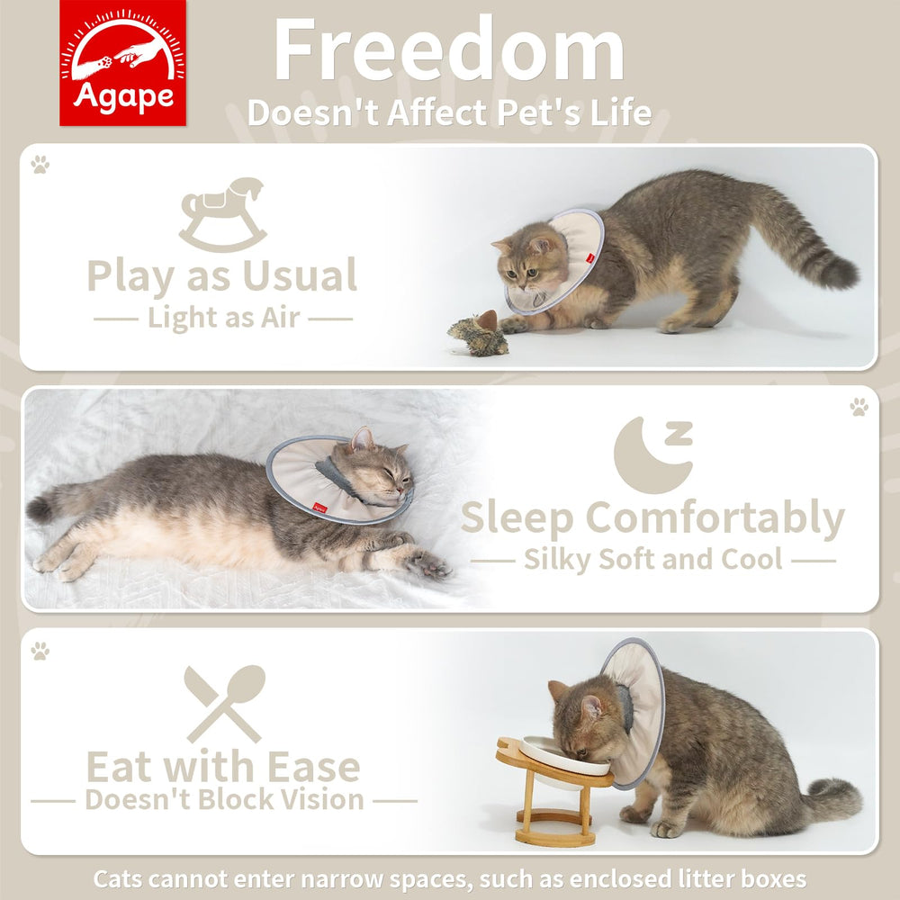 Agape cat cone stainless-steel ring detail shows sturdy protection during recovery.