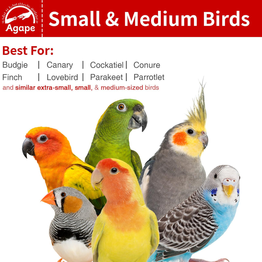 Agape dimensions 11x11x7 inches fit many small to medium birds.