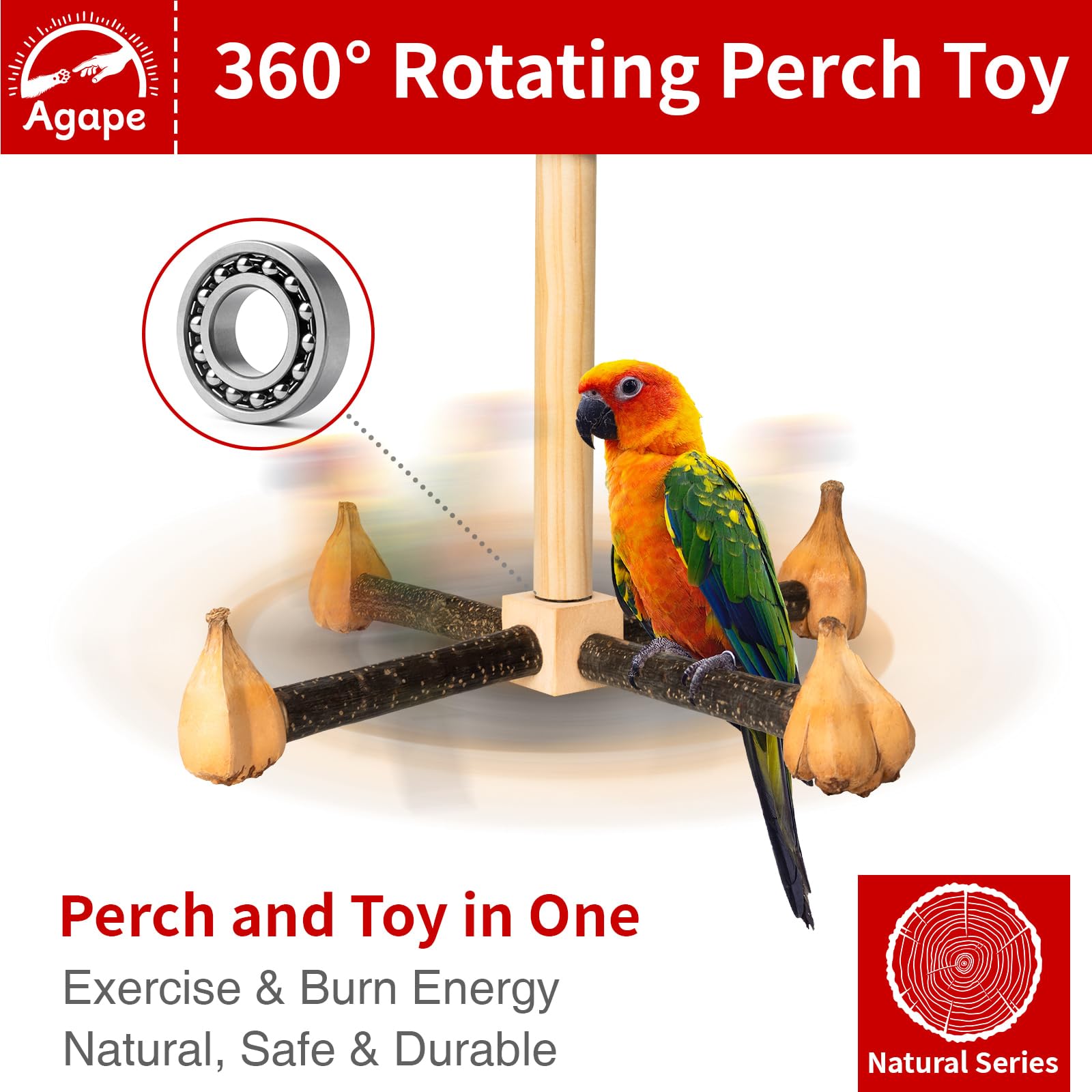 Agape natural chestnut wood perches provide secure grip and warm tactile feel.