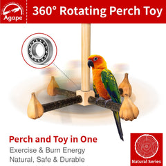Agape natural chestnut wood perches provide secure grip and warm tactile feel.