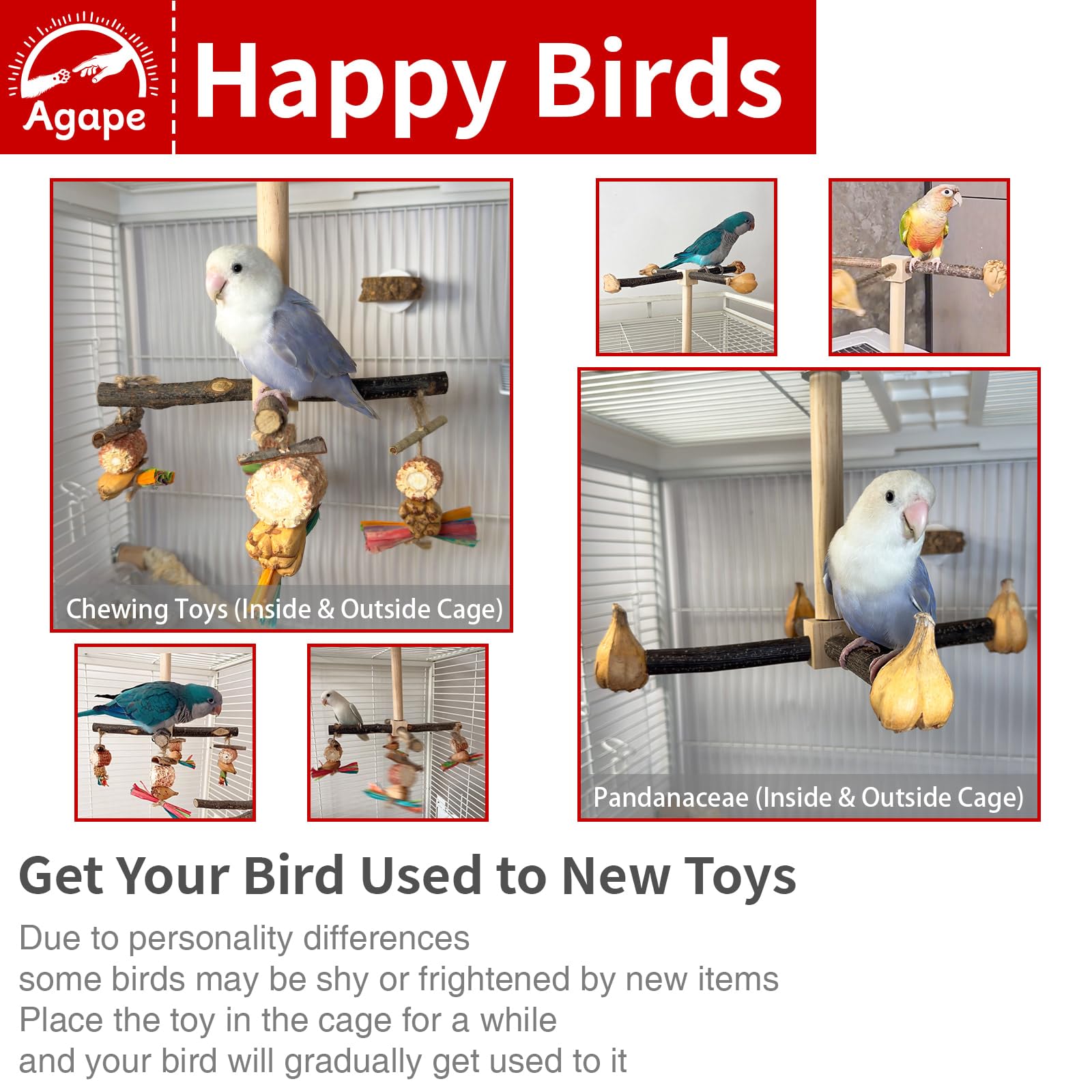 Agape pine vertical poles with safe chew-toy keep beak busy and engaged.