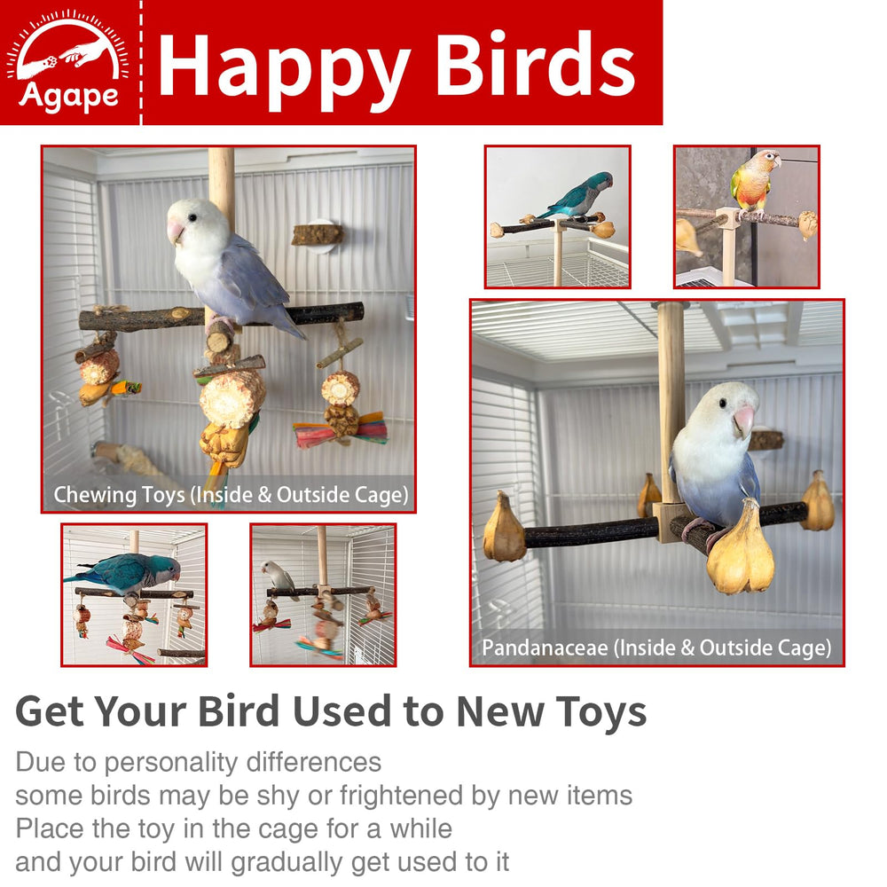 Agape pine vertical poles with safe chew-toy keep beak busy and engaged.