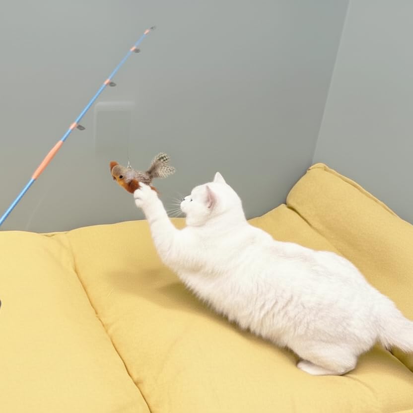 AGGER cat casting fishing pole indoor outdoor play suits versatile cat activities