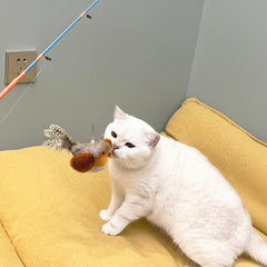 AGGER cat casting fishing pole tangle-free design reduces mess during play