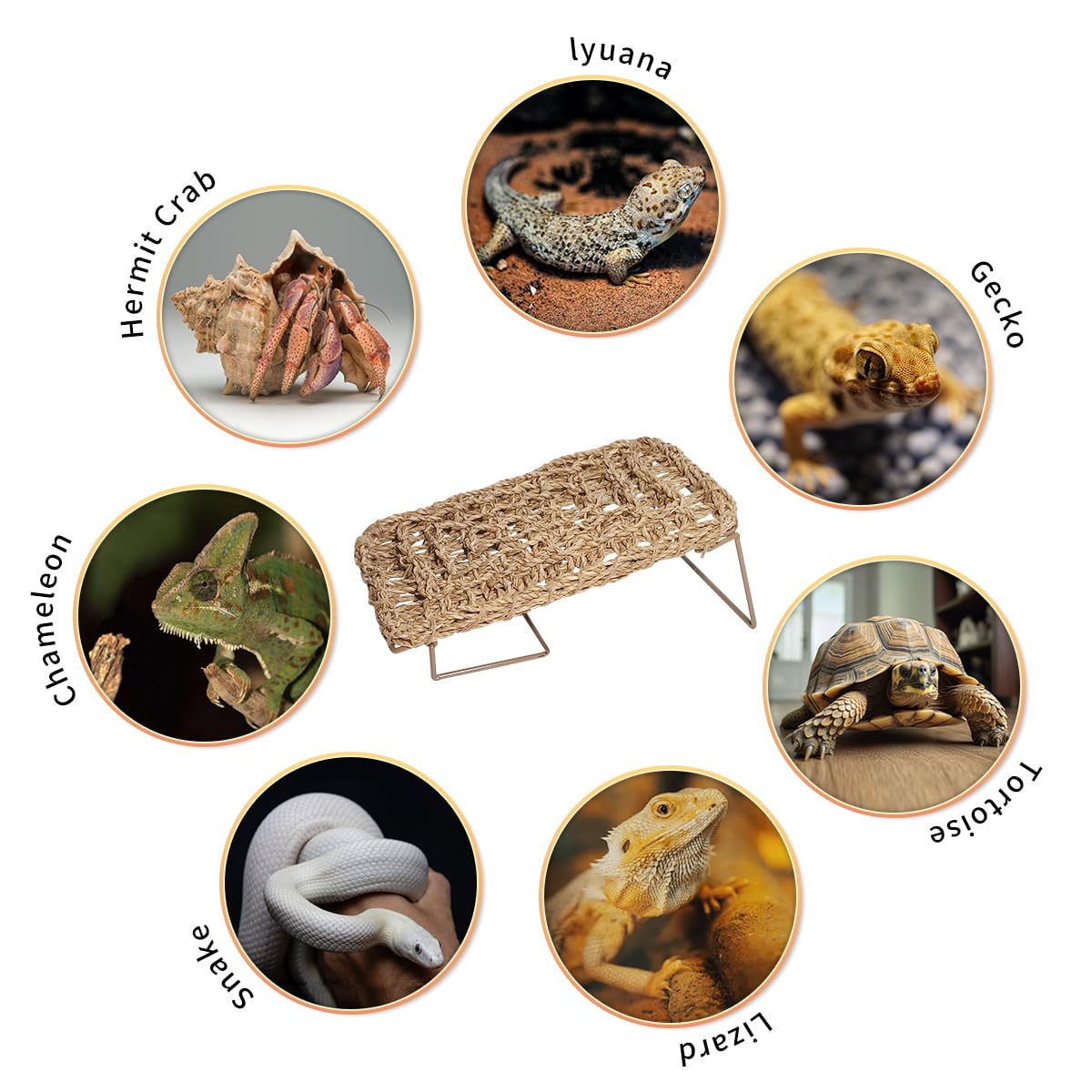 AGGQQA Bearded Dragon Hammock rectangle and triangle shapes fit diverse tanks.