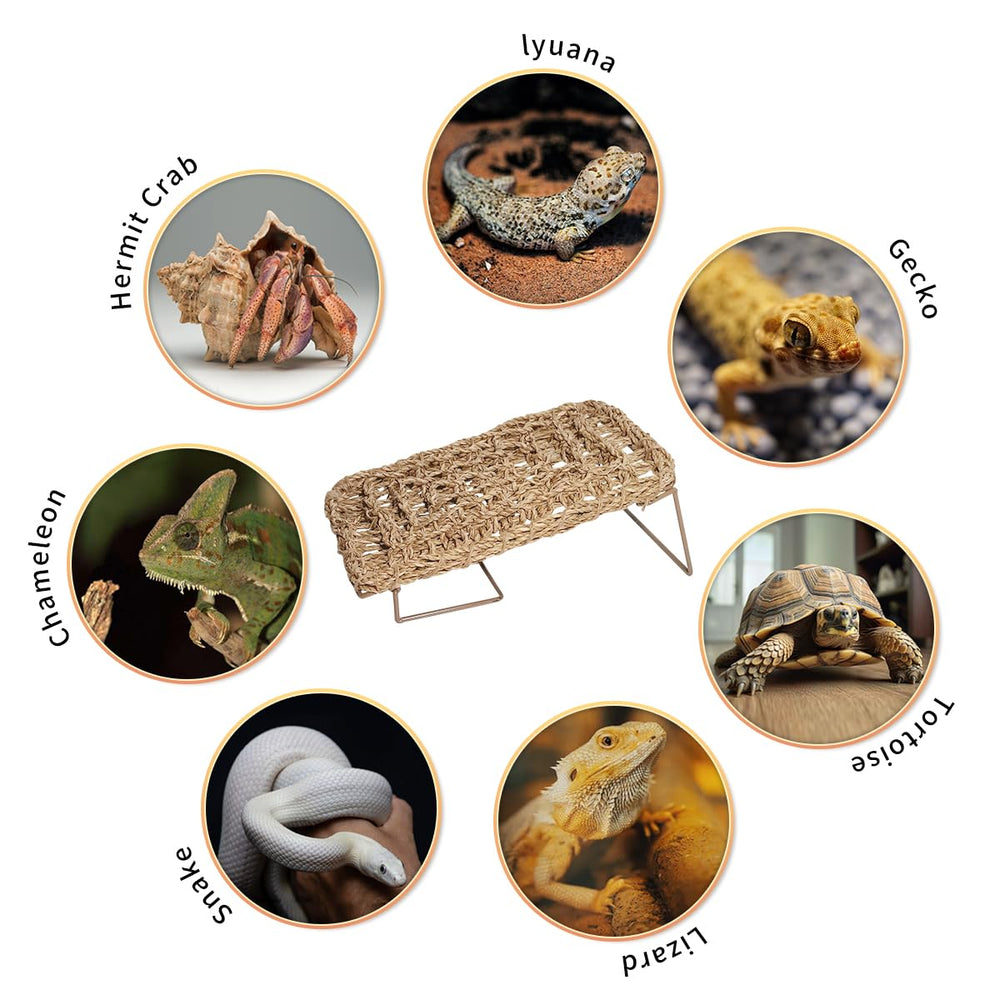 AGGQQA Bearded Dragon Hammock rectangle and triangle shapes fit diverse tanks.