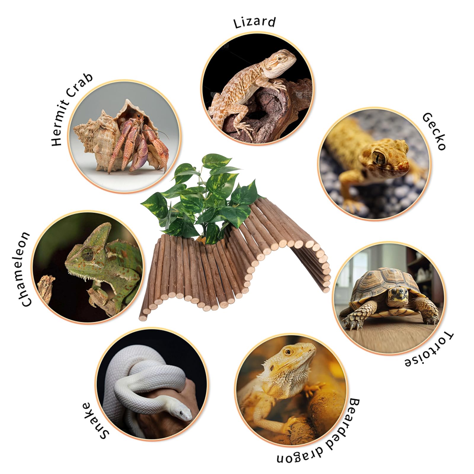 AGGQQA leopard gecko ramp decor enabling multi-level exploration