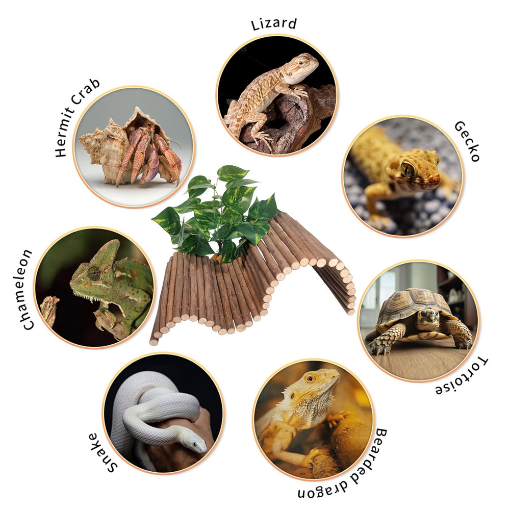 AGGQQA leopard gecko ramp decor enabling multi-level exploration