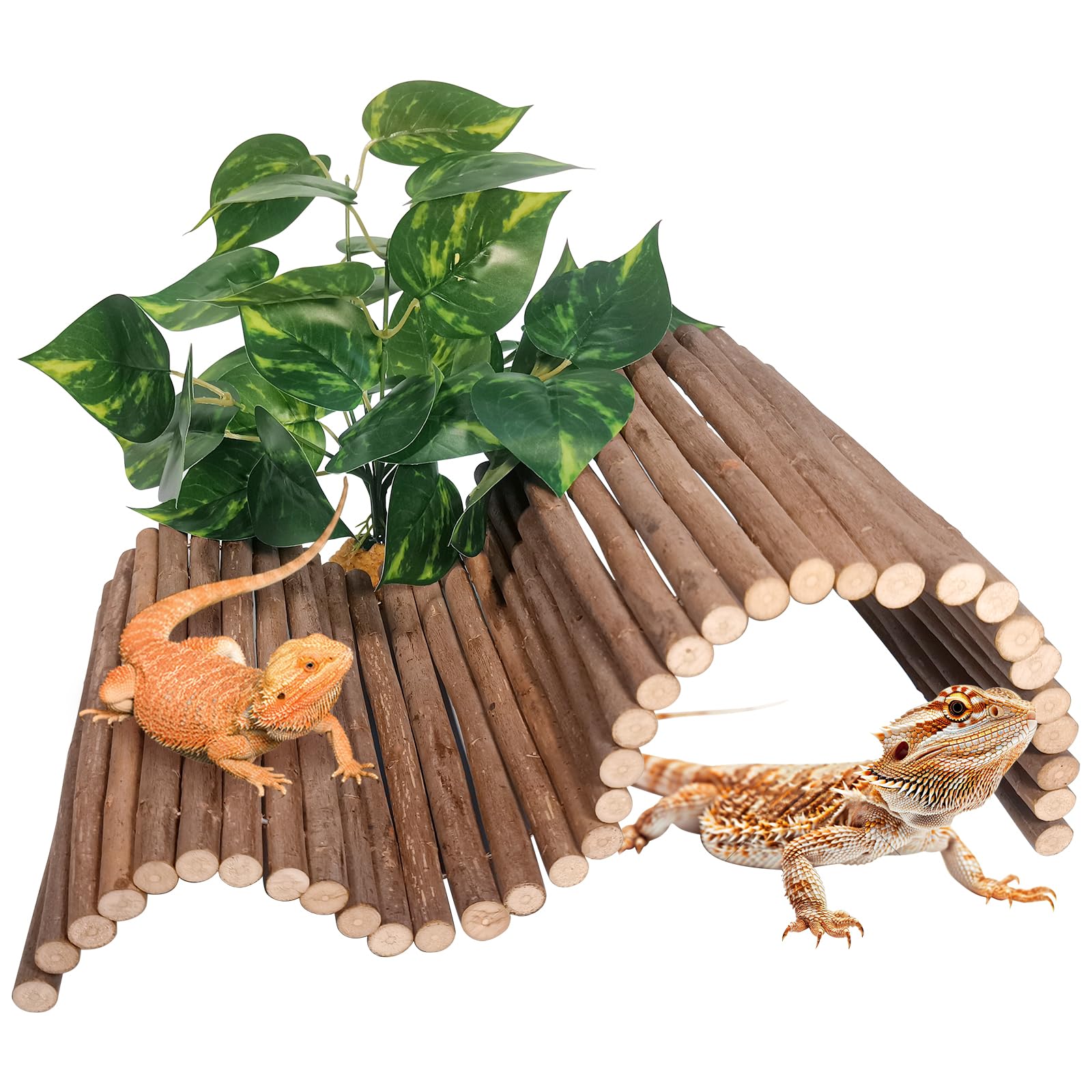 AGGQQA reptile hide wooden bridge shown in terrarium for enrichment