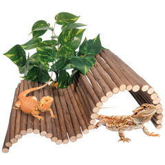 AGGQQA reptile hide wooden bridge shown in terrarium for enrichment