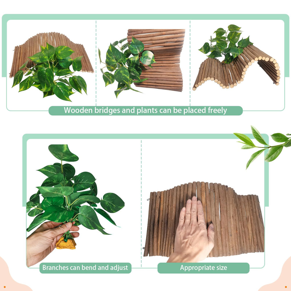 AGGQQA tortoise basking platform integrated with plants for warm exposure