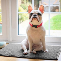 Agolctry microfiber chenille close-up shows soft, cozy surface for small pets.
