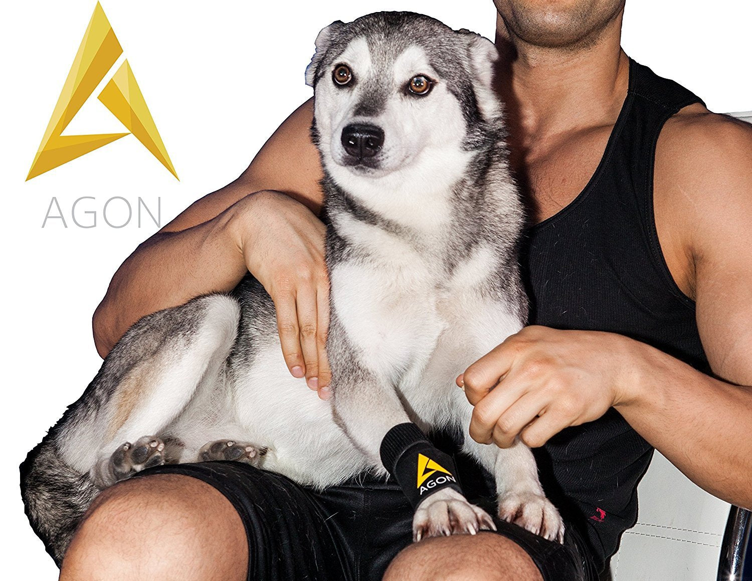 AGON dog brace after-surgery use-case demonstrating post-op support.