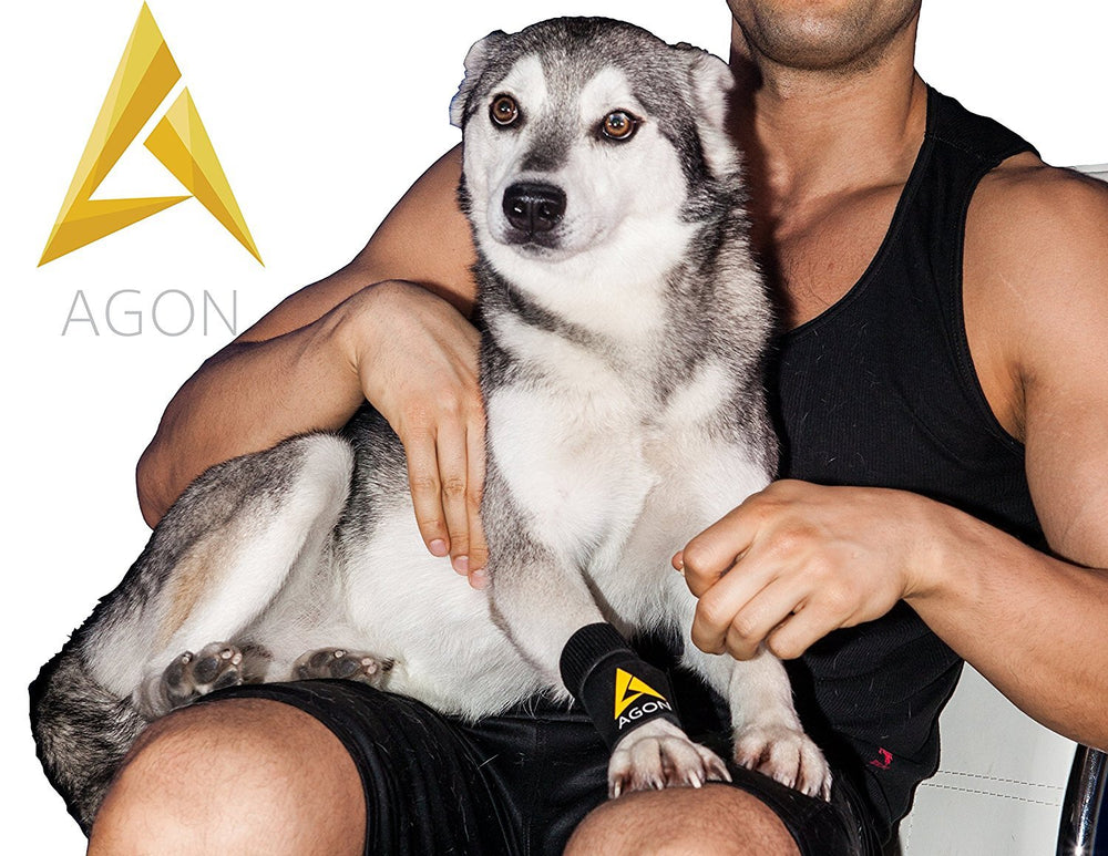 AGON dog brace after-surgery use-case demonstrating post-op support.