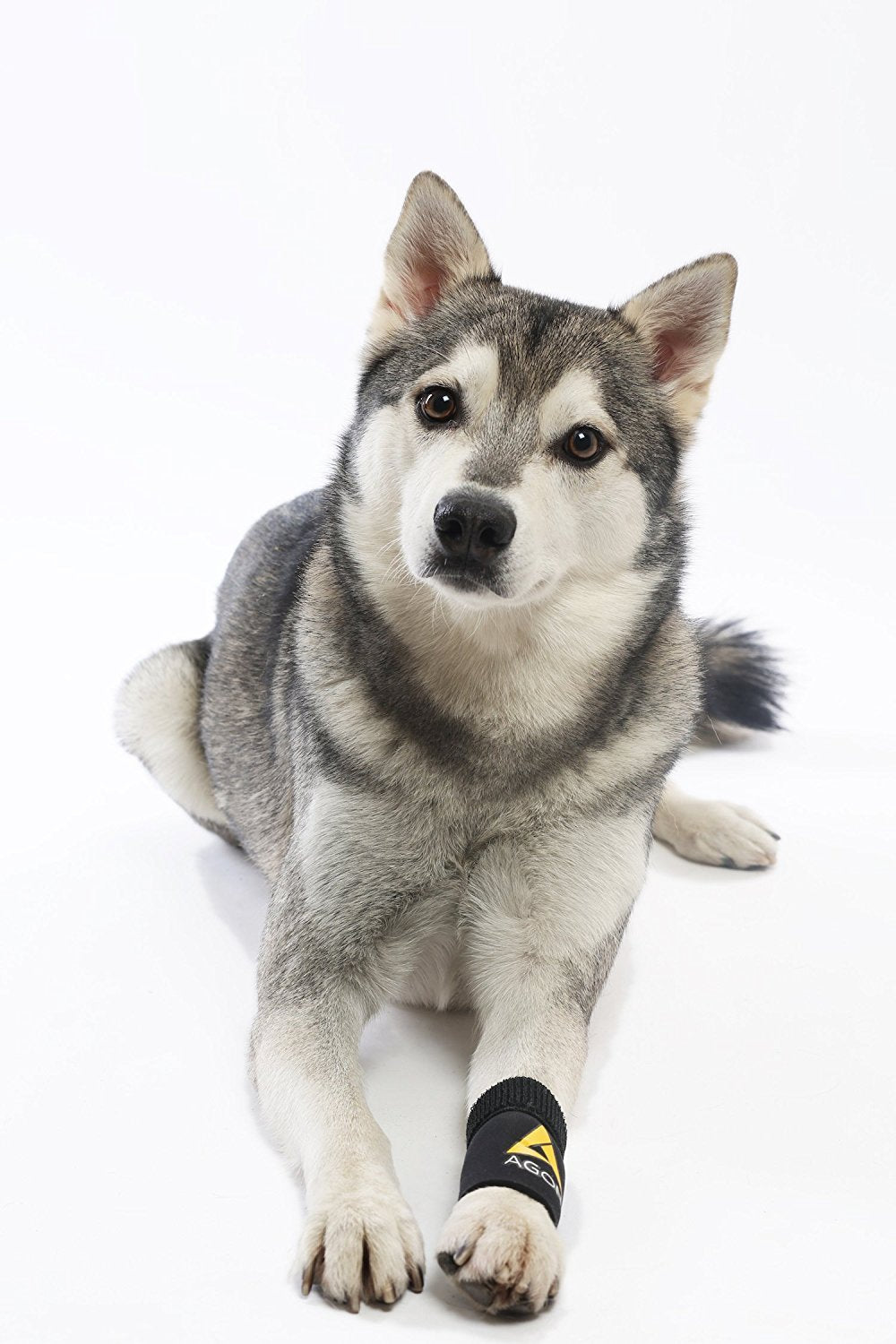 AGON dog brace care instructions for washing and maintenance.