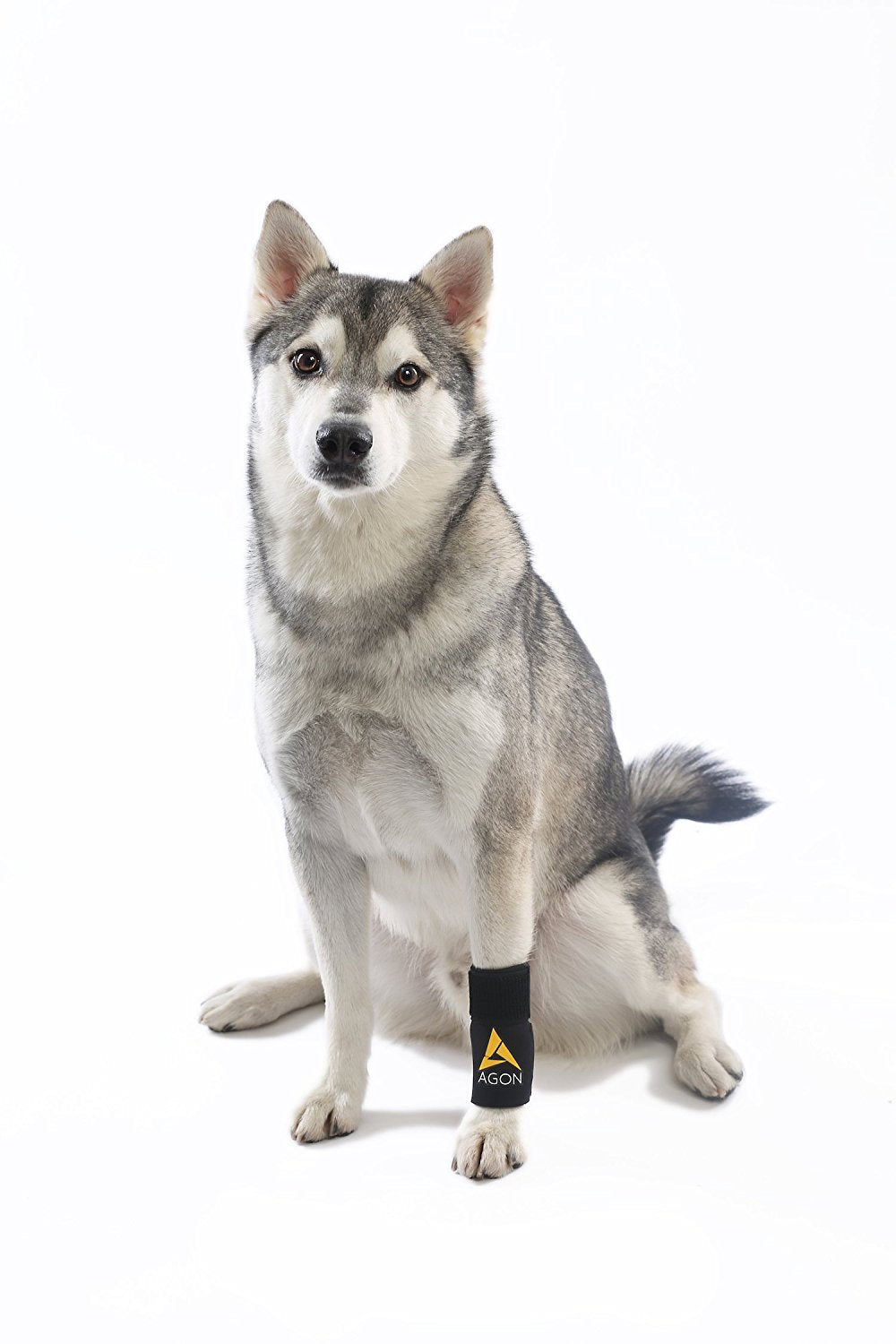 AGON dog brace size chart visual showing S/M and L/XL options.