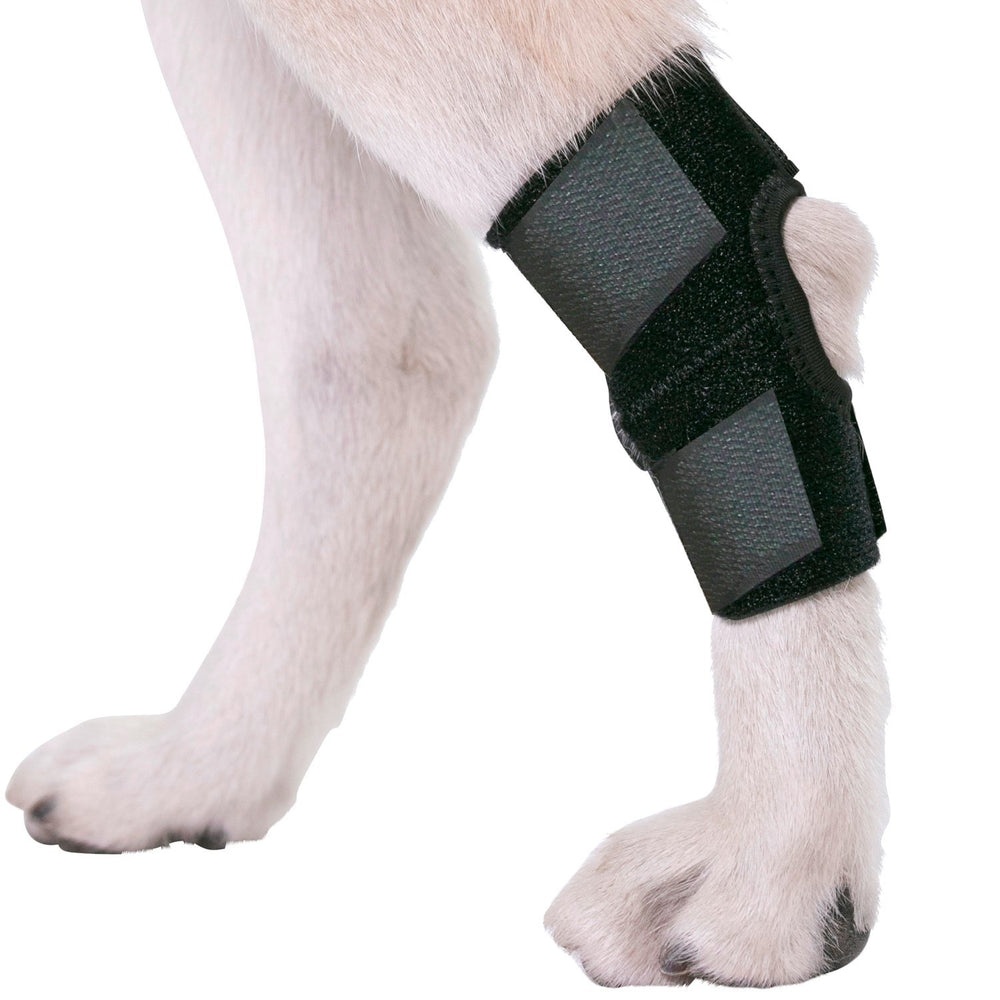 AGON órtesis para tobillo trasero con ajuste ergonómico facilita la estabilización durante la recuperación.