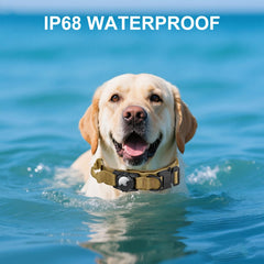 AGPETS AirTag collar buckle-quick-release brown-m shows safety-first design for emergencies and easy removal.