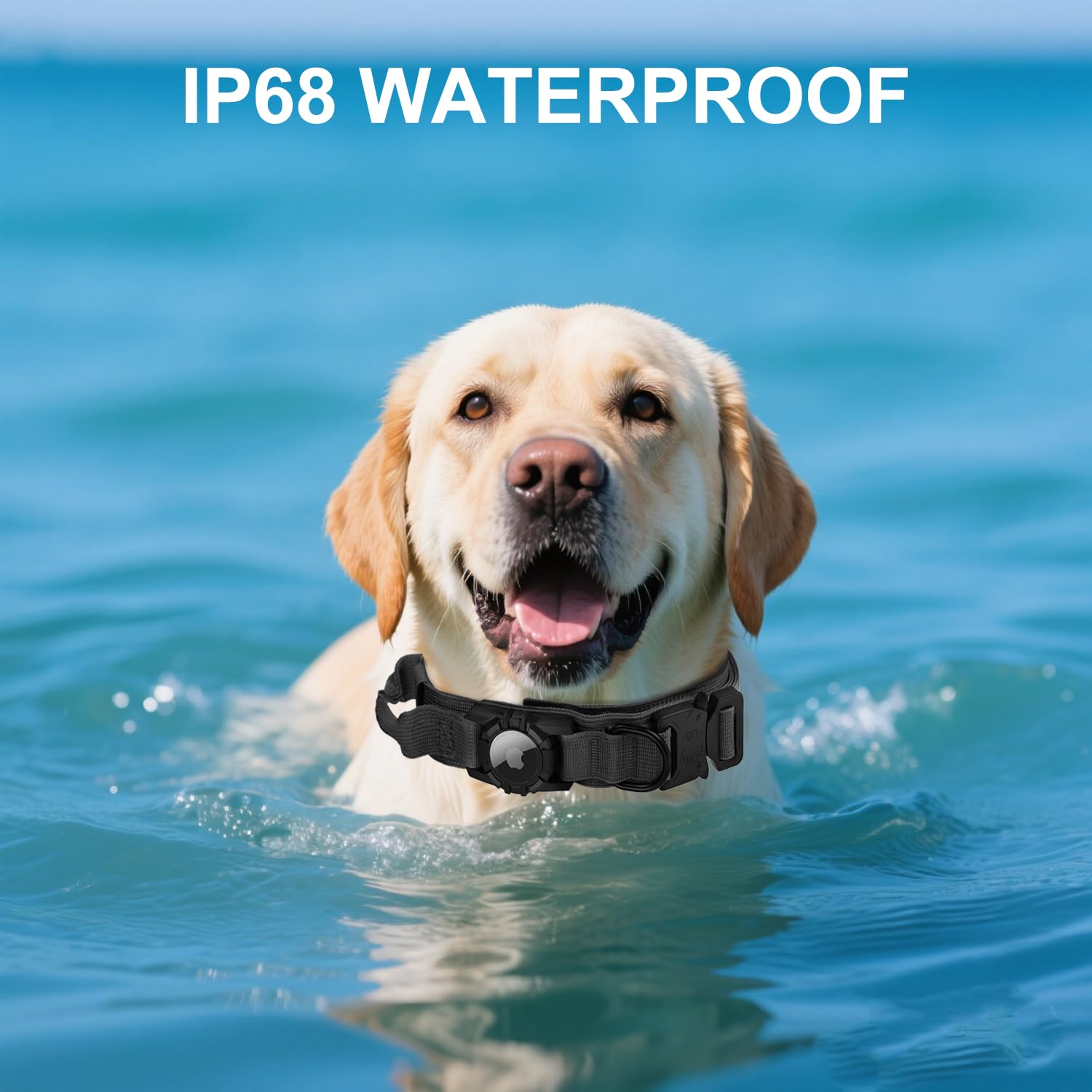 AGPETS Integrated AirTag holder collar reduces clutter while tracking.