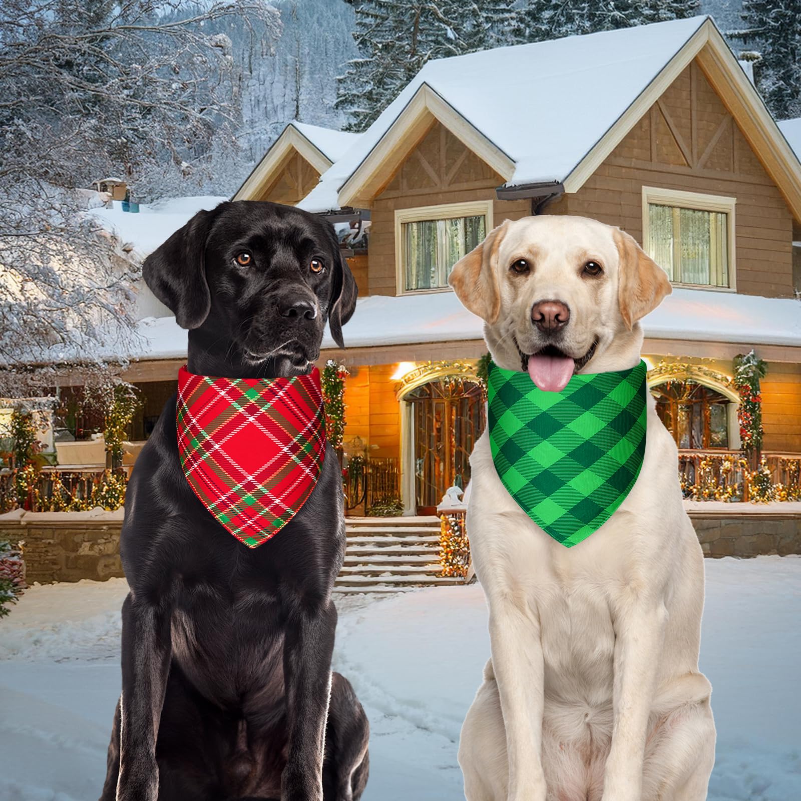Agroon Christmas dog bandana pack-display highlights convenient two-pack gifting option.