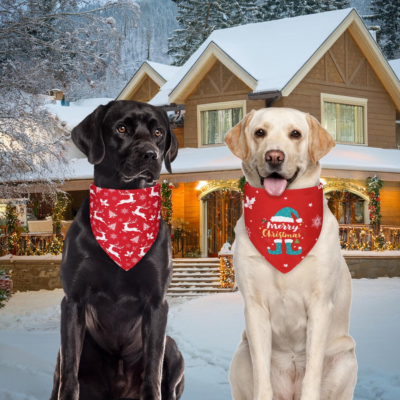 Agroon dog bandana xlarge neck 21x30 inch supports bigger breeds and comfort.