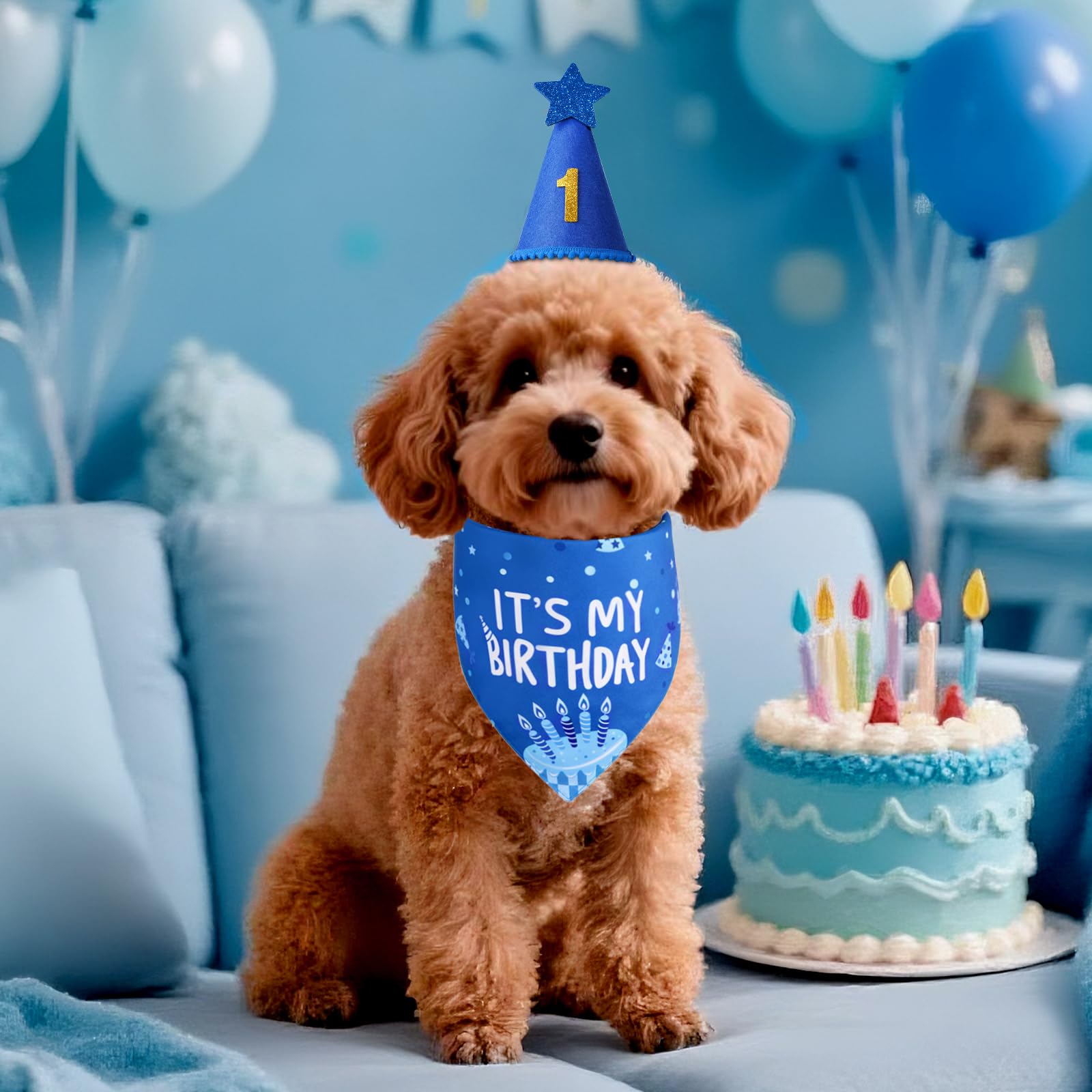 Agroon dog birthday bandana fabric texture close-up polyester