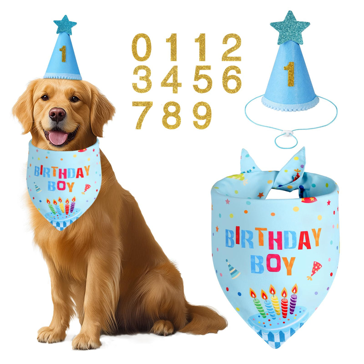 Agroon dog birthday hat blue bling on a pup, ideal for festive photos.