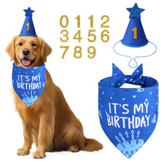 Agroon dog birthday hat blue with bling worn during celebrations