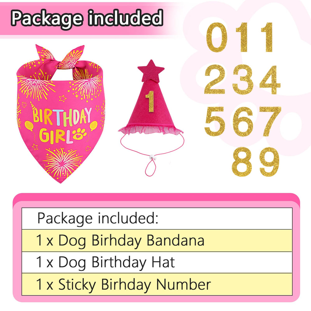 Agroon dog birthday hat rose pink small—festive sparkle for photos.